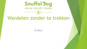 Wandelen zonder te trekken