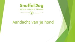 Aandacht van je hond