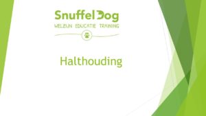 Halthouding