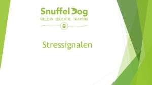 Stressignalen 1