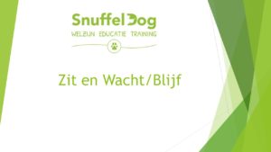 Zit en blijf